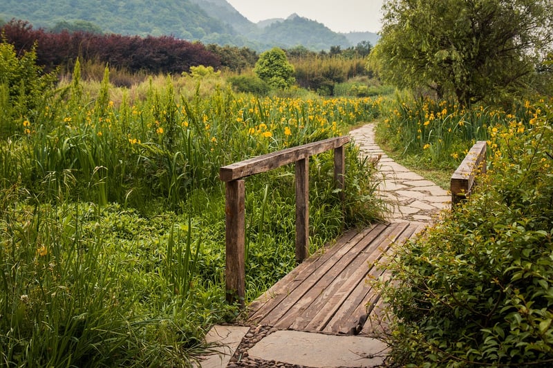 Garden Stepping Stones